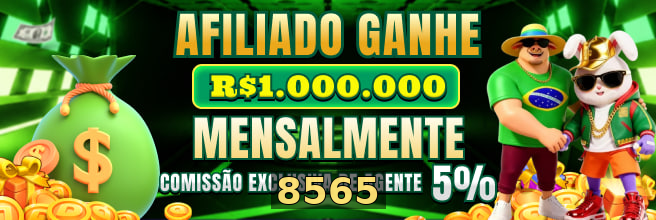8565 - Galeria 2